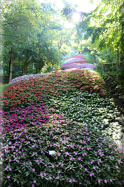 foto Giardini Trauttmansdorff - Boschi del Mondo